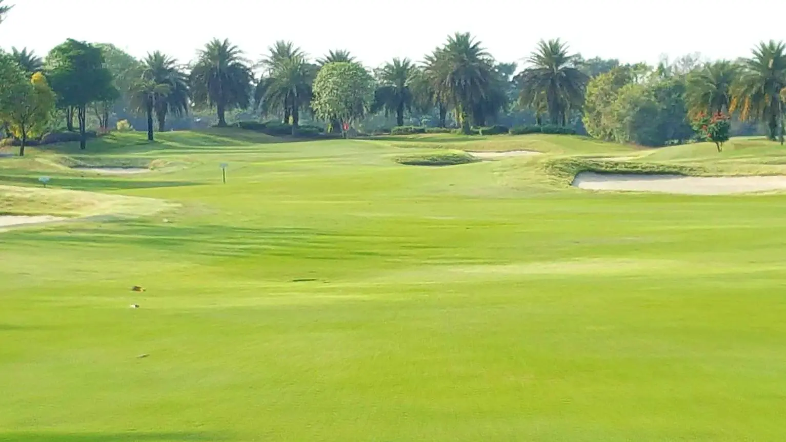 2021-01-23-12-00-16-60c5b