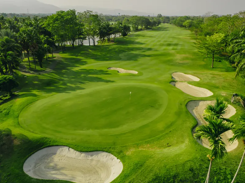 8927da9d15b4d5bedf6250aca8c18e63